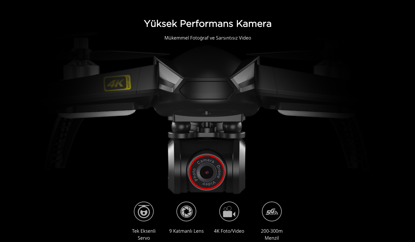 2-bugs%205w%204k.png?1576751176856