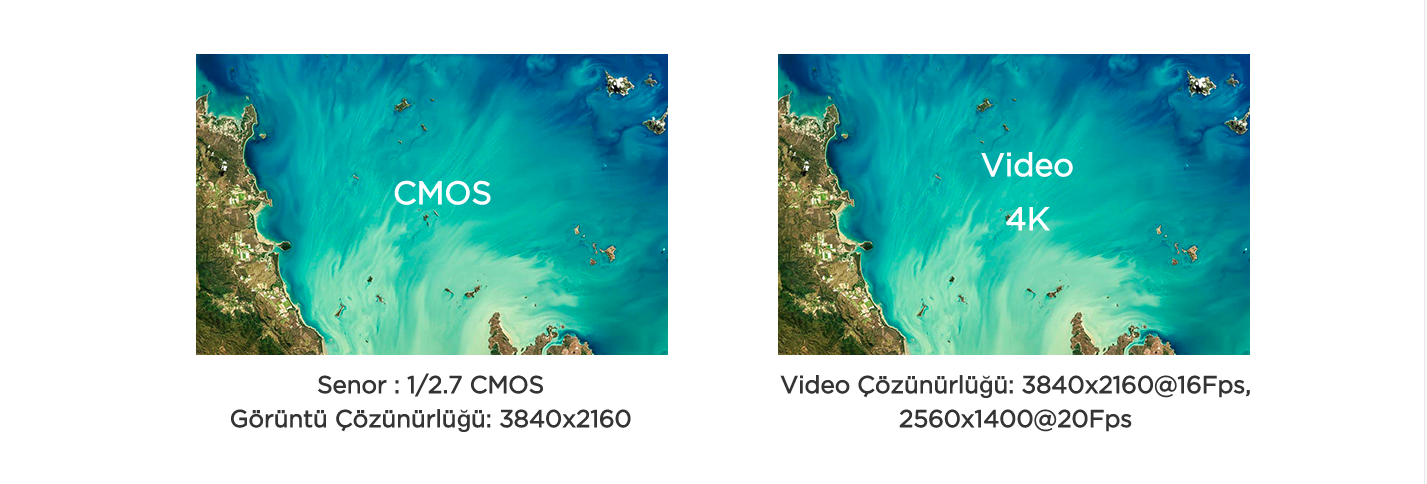 3-%20bugs%205w%204k.png?1576751187453