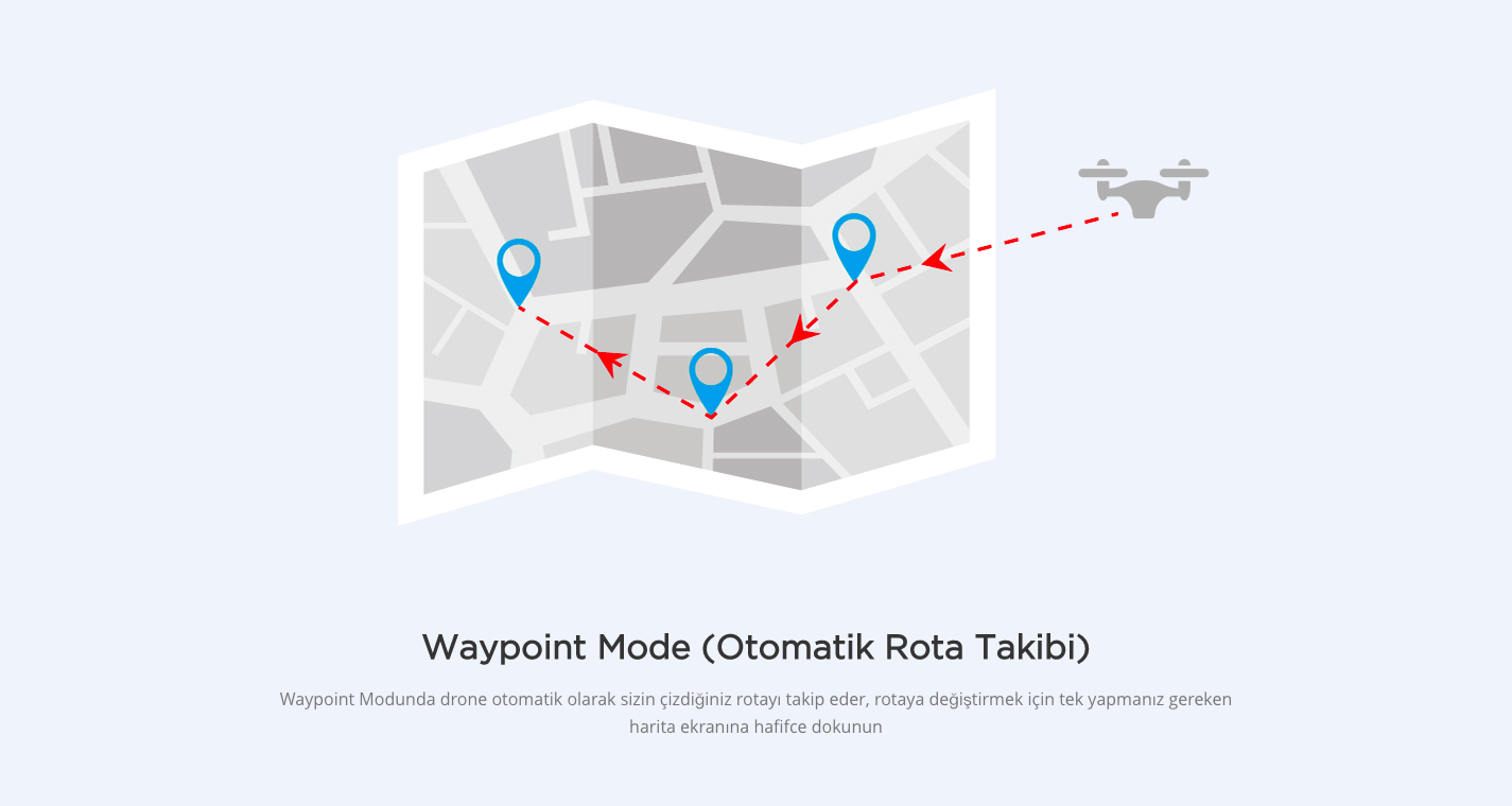 11-bugs%205w.png?1549454702501