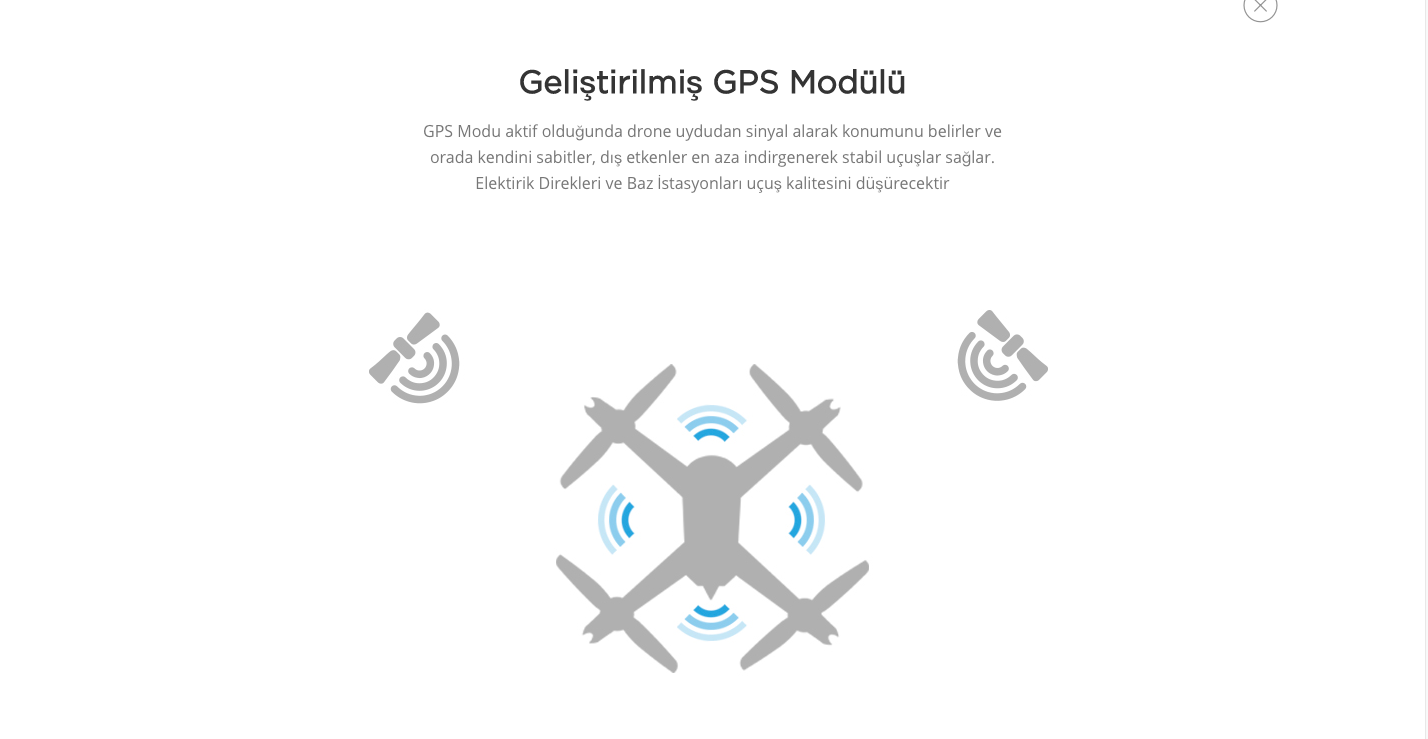 12-bugs%205w.png?1549454713996