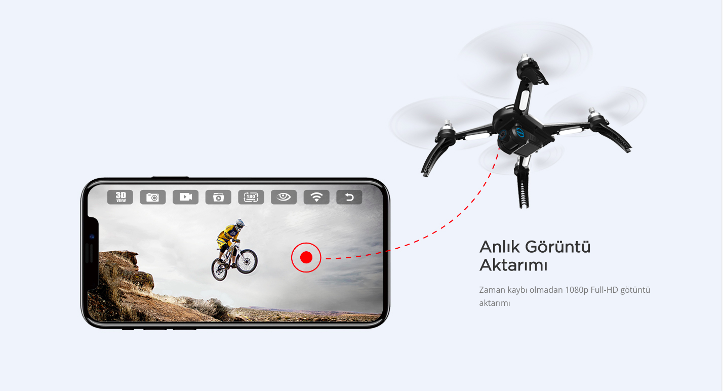 17-bugs%205w.png?1549454789318