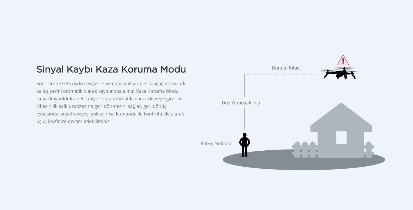 5-bugs%205w.png?1549454575025